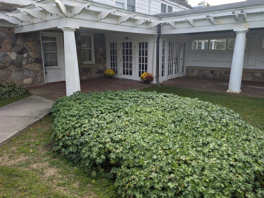 PXL_20240918_191044283.MP-1-scaled