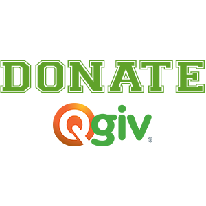 Qgive Logo Widget